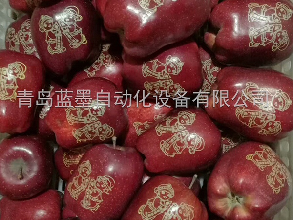禹城苹果印字机